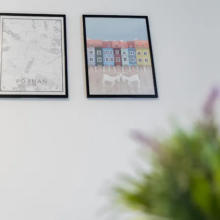 Rynek Jezycki Deluxe Poznań